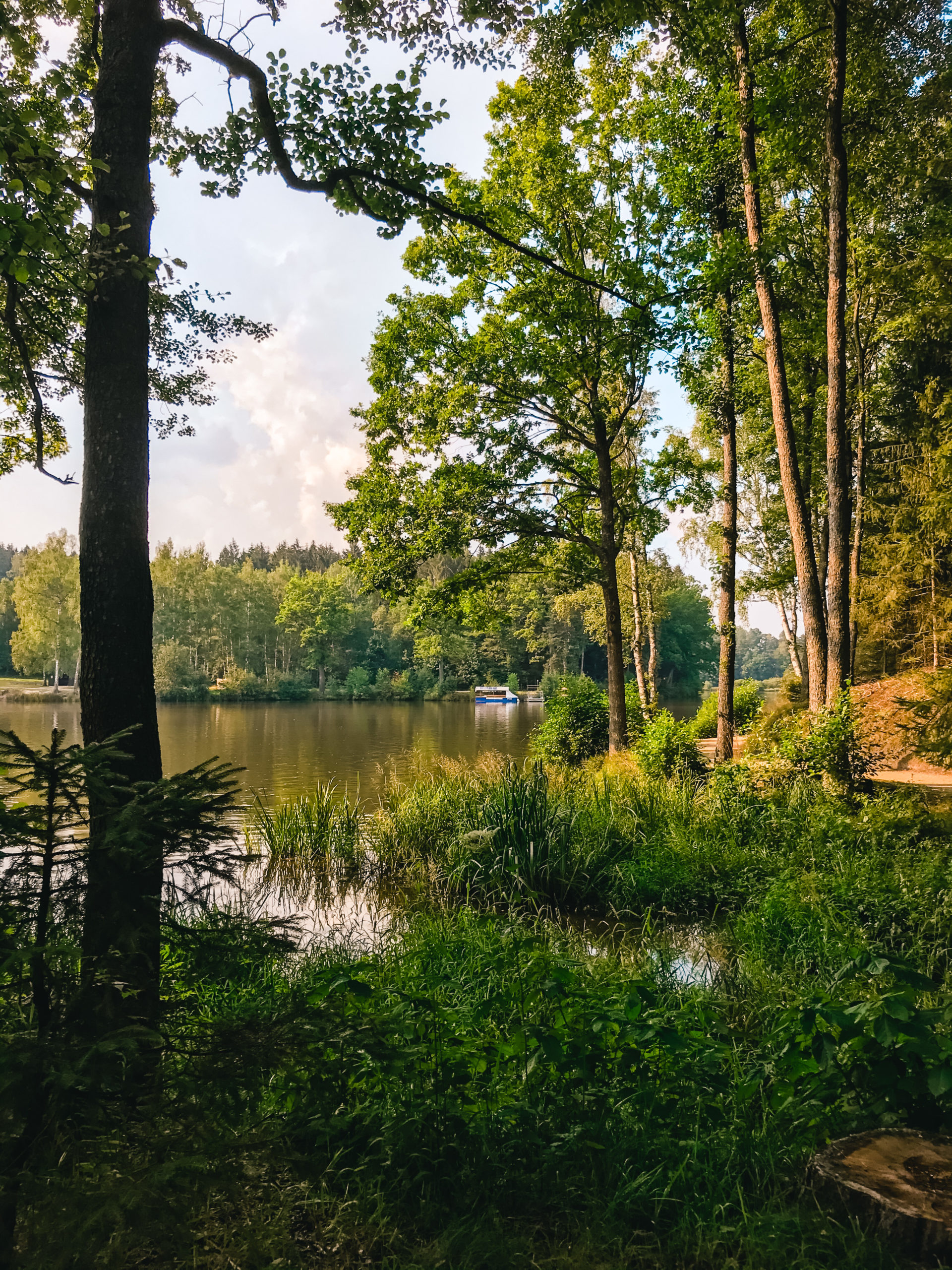 Herrensee in Litschau